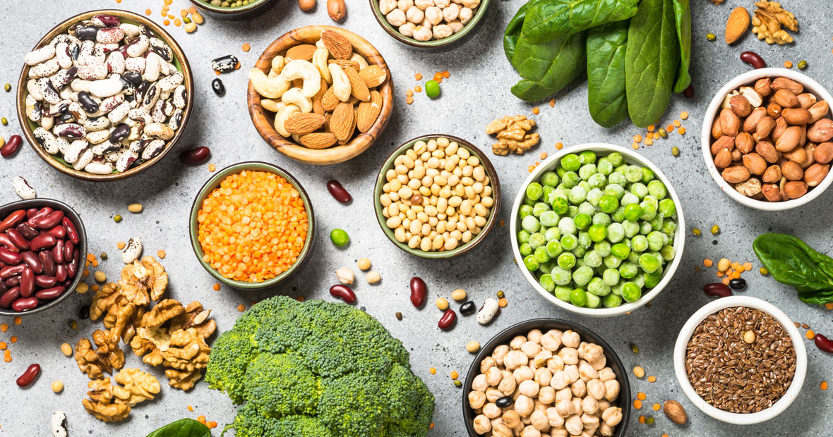 Les protéines végétales